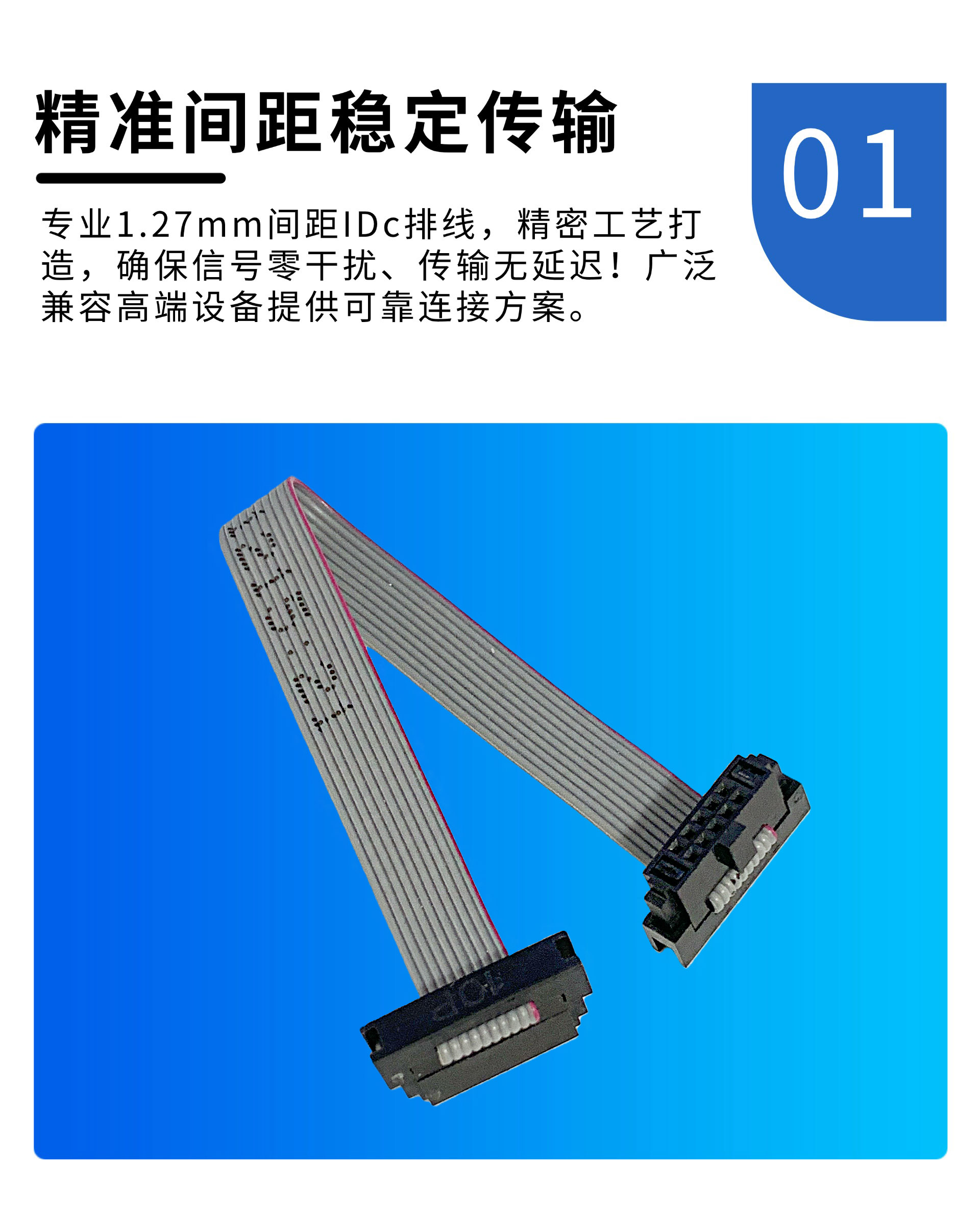 深圳-1.jpg